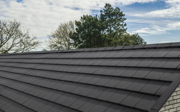 toiture en tuile nueva