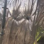 ACTIS -Hcontrol Reflex Plus -Pare Vapeur actis-hcontrolreflex-plus-pare-vapeur 6