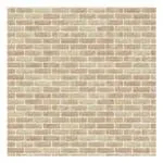 COECK – BRIQUE FACADE MOD.50 ANDERLECHT coeck_brique_facade_mod.50_anderlecht 3 COECK – BRIQUE FACADE MOD.50 ANDERLECHT coeck_brique_facade_mod.50_anderlecht 3