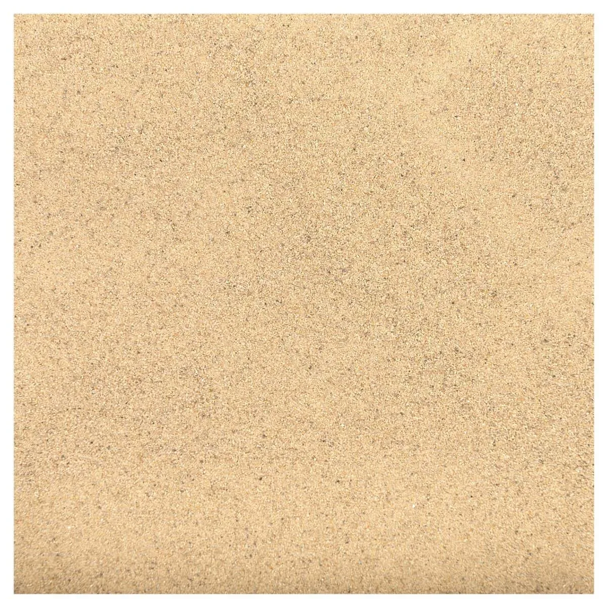COECK -DANSAND -Sable de Jointoiement No Grow Natural 20kg coeck_dansand_sable_de_jointoiement_no_grow_natural_20kg 2 COECK -DANSAND -Sable de Jointoiement No Grow Natural 20kg coeck_dansand_sable_de_jointoiement_no_grow_natural_20kg 2