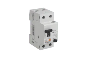 DEBFLEX -Interrupteur Differentiel 2p 30mA 25 à 63A 2 Modules Type A debflex-interrupteur-differentiel-type-a