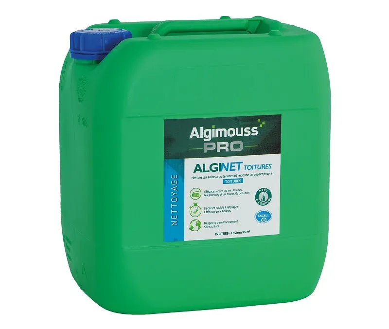 Alginet Toiture