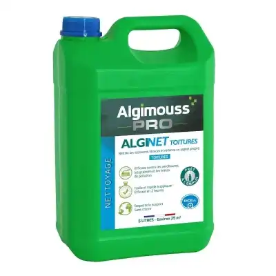 Alginet Toiture 