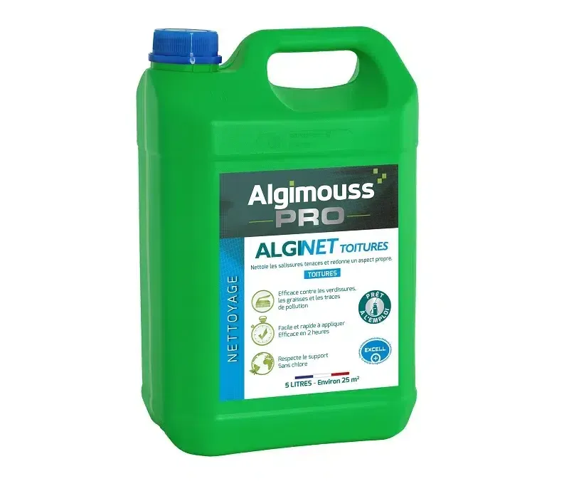 Alginet Toiture