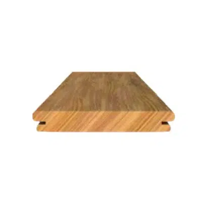 LEMAHIEU- Planche Terrasse TP500 -Planche pour Terrasse