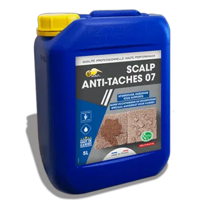 Scalp -Anti-Taches 07 1L