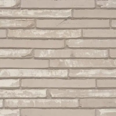 TERCA- Wasserstrich Special