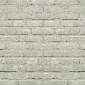 TERCA- Domus