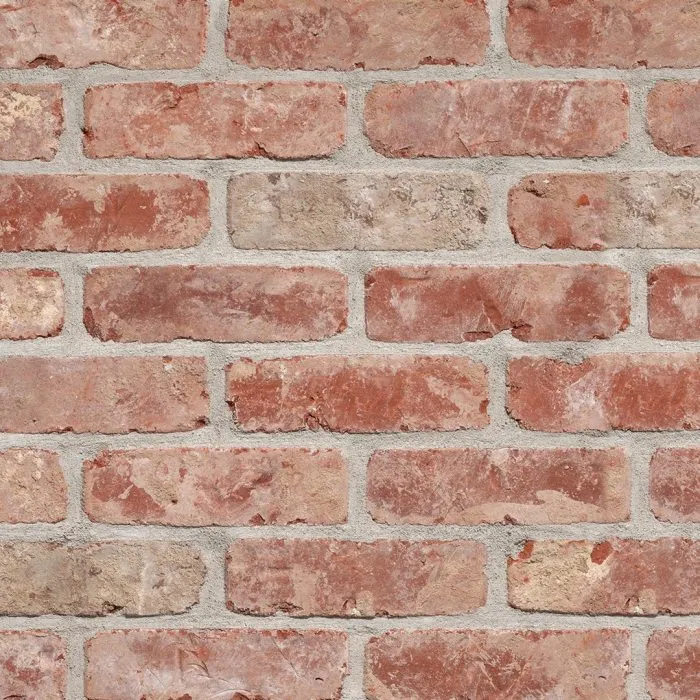 TERCA- Rustica Brique-Plaquette