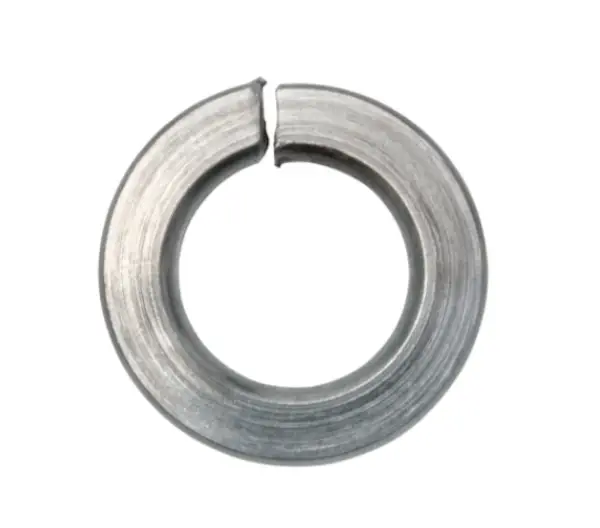 SWG -Rondelle Grower -INOX A2