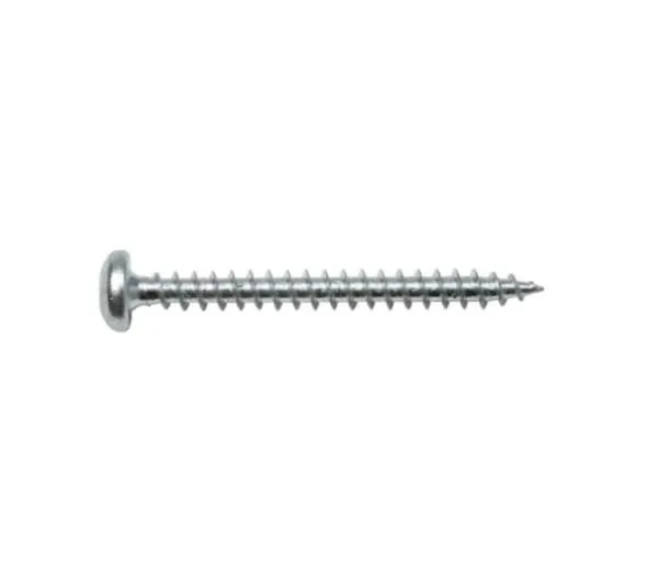 SWG -Vis Panneau Tête Ronde Inox A2 Torx Diam. 4