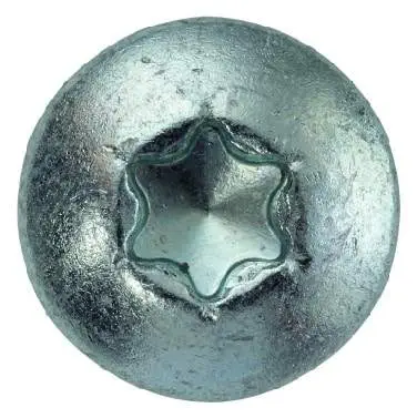 SWG -Vis Façade Bois Tête Bombée Inox A2 Torx 25 diam. 5