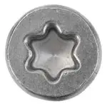 SWG -Vis Aggloméré Torx TX10 -Galvanisée