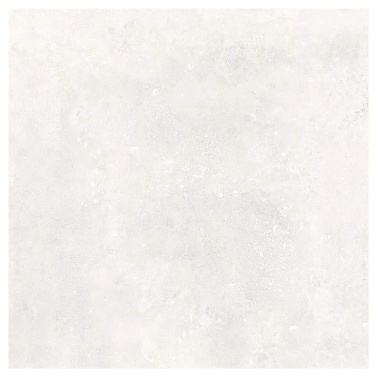 COECK - Céramique Sol - 100X100R ABSOLUTE BIANCO 2.0 1M²/BOITE