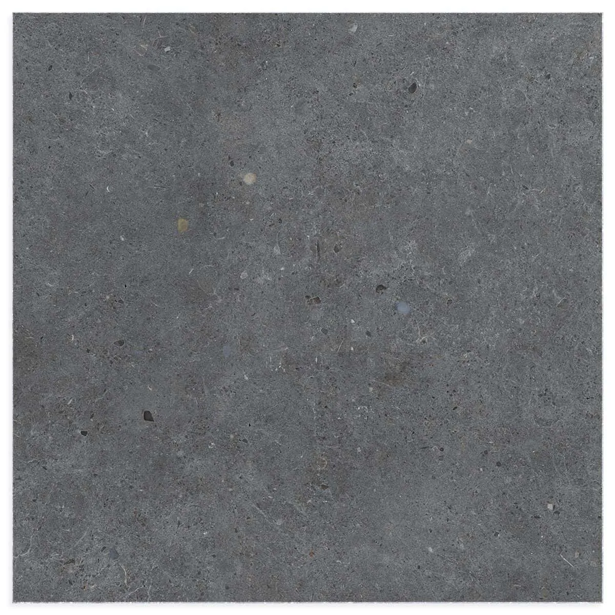 COECK - Céramique Sol - 60X60R BRERA BOARD 2.0 0,72M²/BOITE